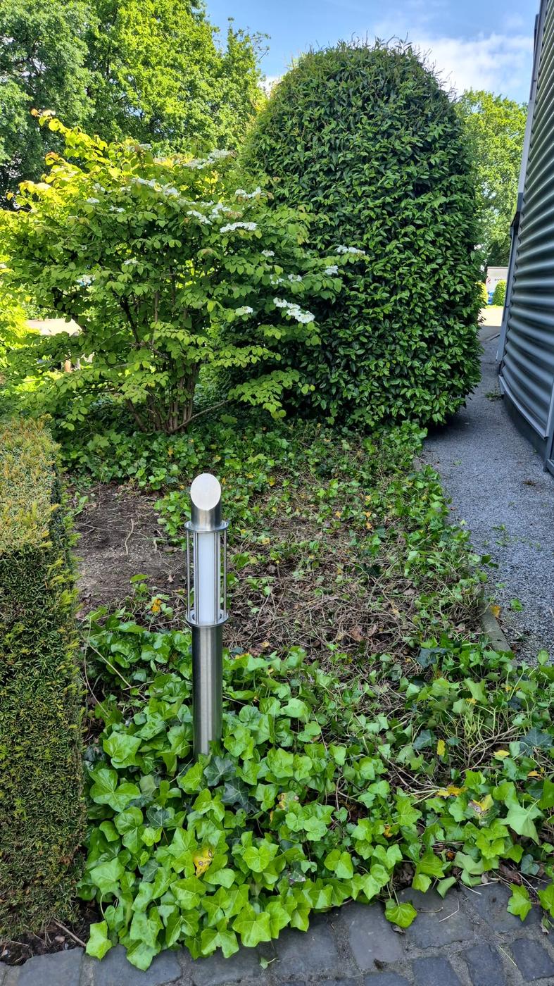 Gepflegtes Beet mit Efeu und Wegeleuchte vor einem Firmengebäude